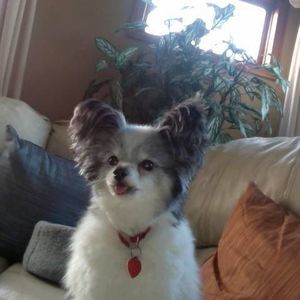 Meet your Posher, Stasia